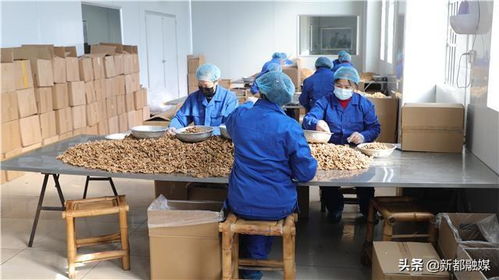 軍屯合意食品廠 拓展煙草制品零售業務，預計年銷售額突破6000萬元