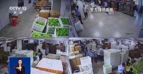 “網紅話梅”減肥真相揭秘 是營銷神話還是健康陷阱？